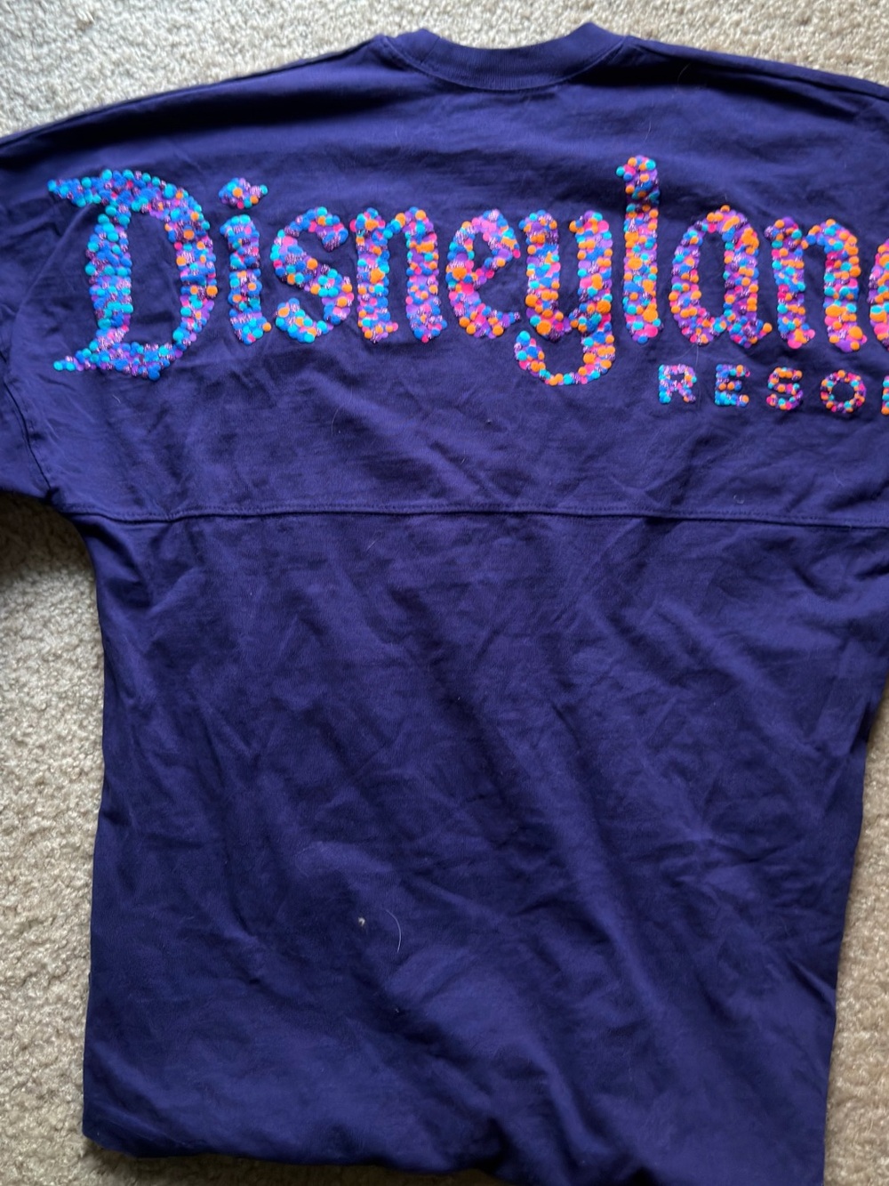 Disneyland Paris 30th Anniversary “sPARKling” spirit jersey adult long sleeve